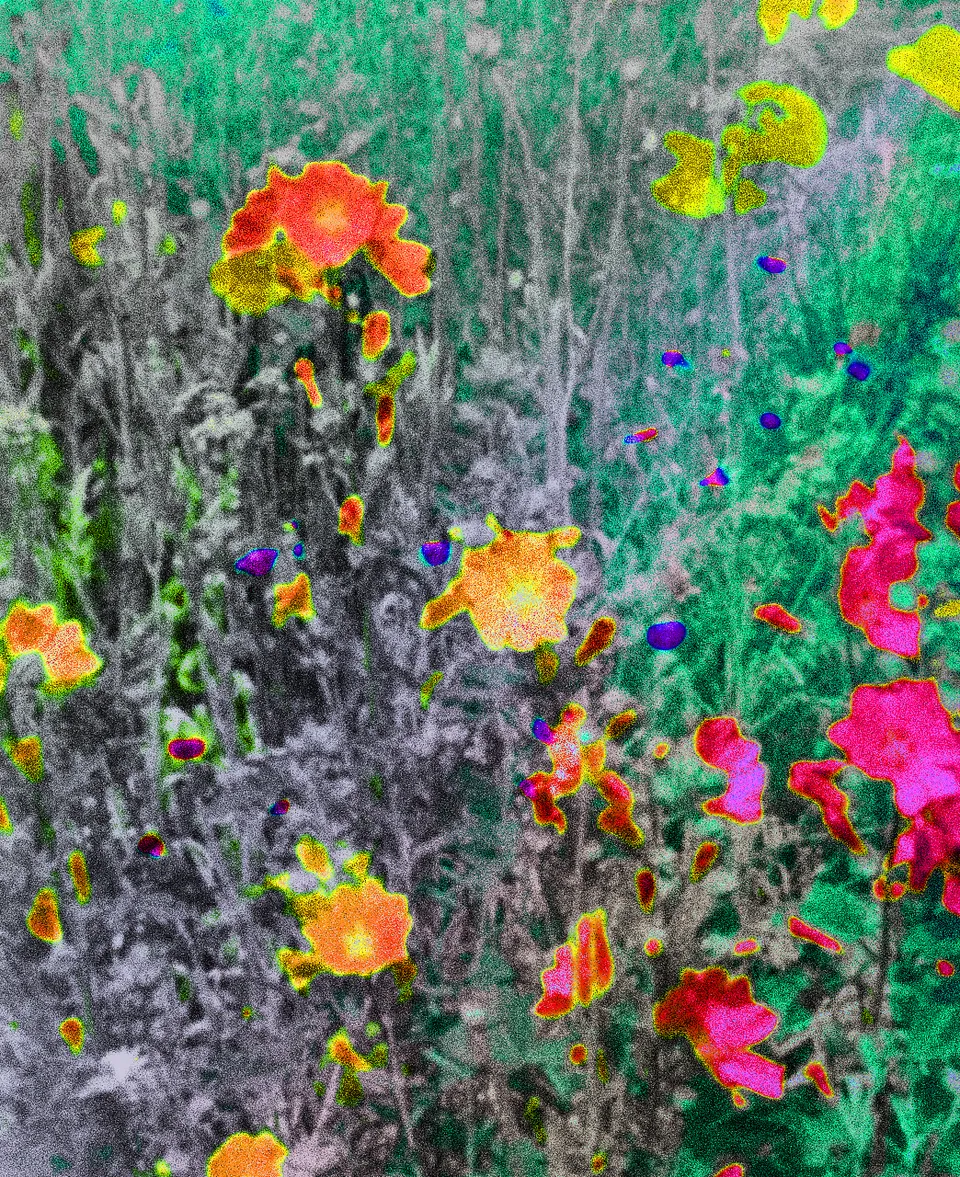 Exploration image 6