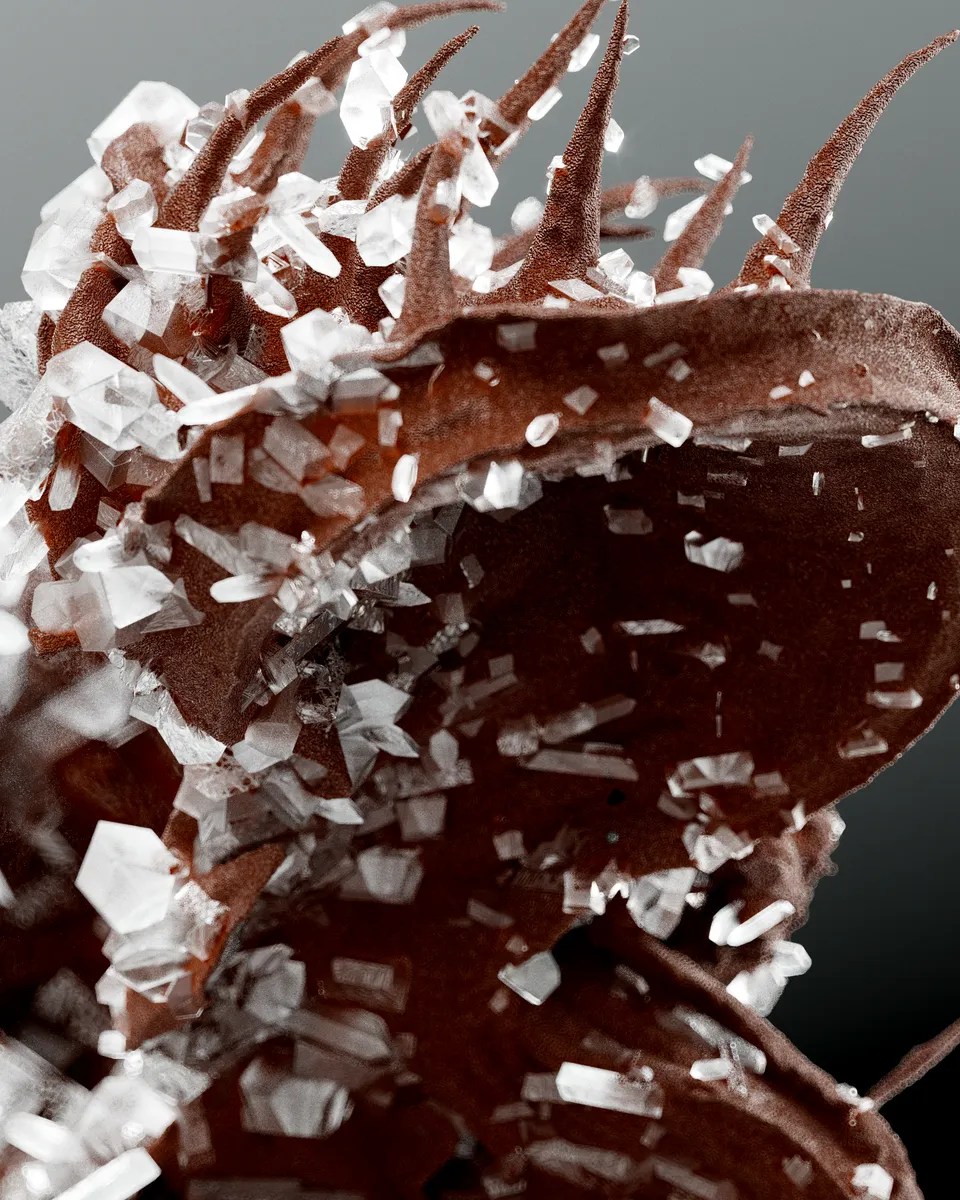 Crystal collaboration with Sumeyya Donmez image 3