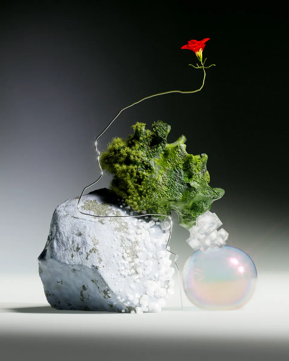 Visuals for Ididit