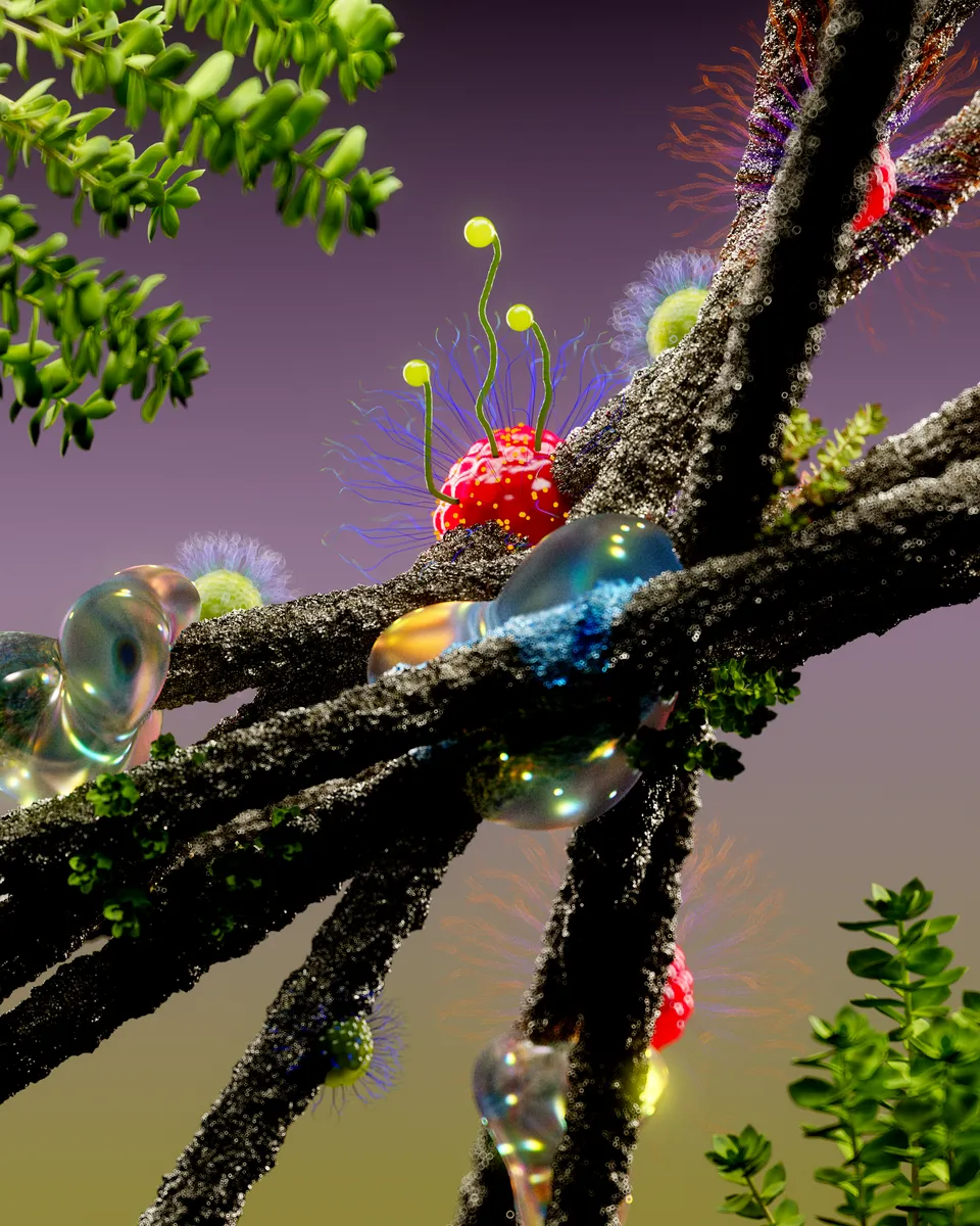 Exploration image 21