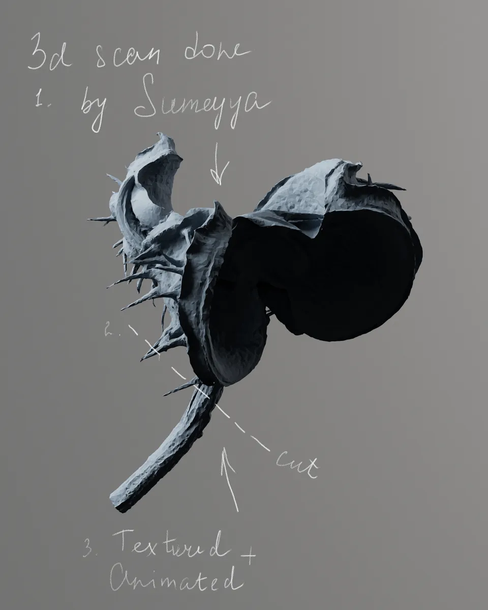 Crystal collaboration with Sumeyya Donmez image 4