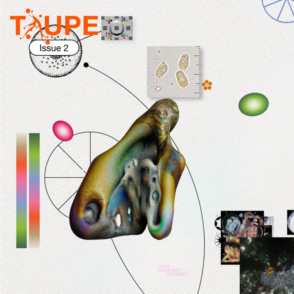 Charming mushrooms for Taupe magazine image 1