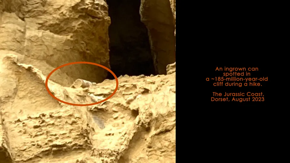 Technofossils image 13