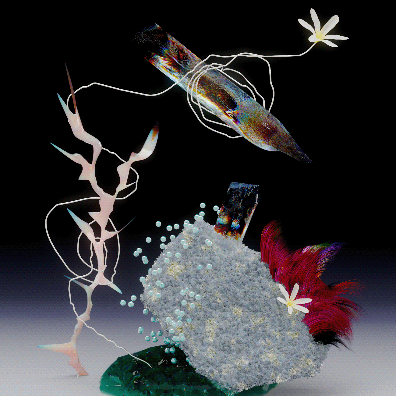 Still life explorations